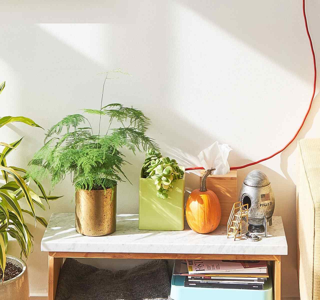 https://www.crownlandscapes.co.uk/wp-content/uploads/2018/09/post_02-1280x1200.jpg