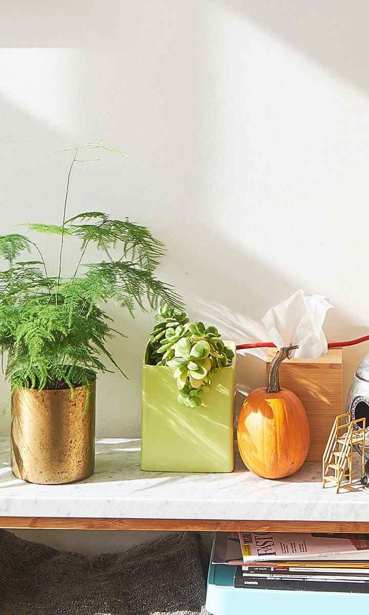 https://www.crownlandscapes.co.uk/wp-content/uploads/2018/09/post_02-720x1200.jpg