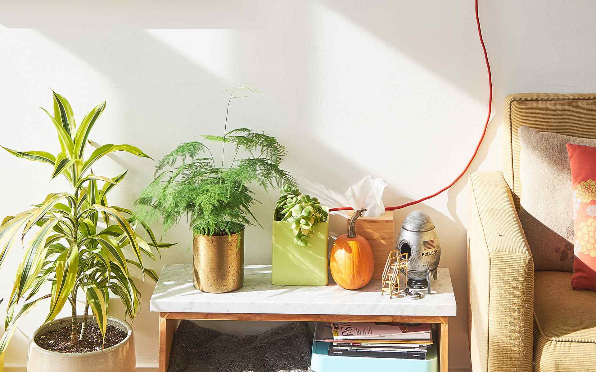 https://www.crownlandscapes.co.uk/wp-content/uploads/2018/09/post_02.jpg