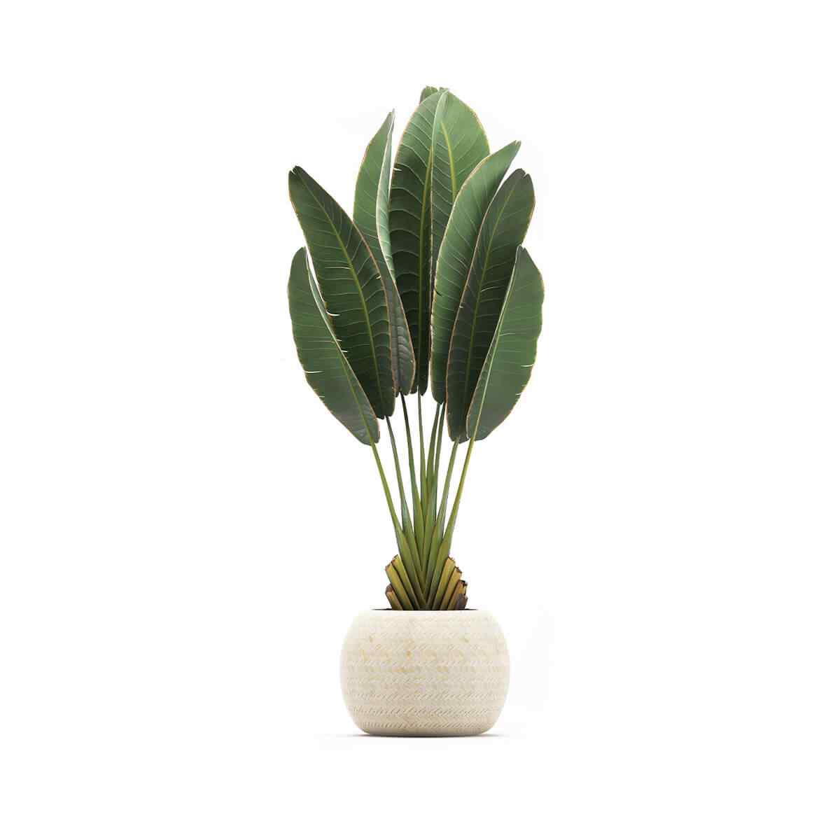 https://www.crownlandscapes.co.uk/wp-content/uploads/2018/09/product_06.jpg