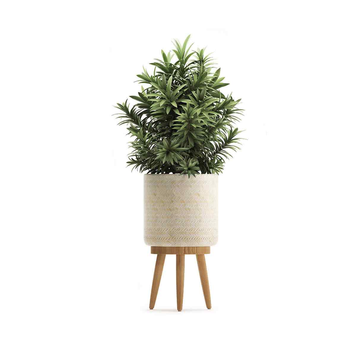 https://www.crownlandscapes.co.uk/wp-content/uploads/2018/09/product_08.jpg