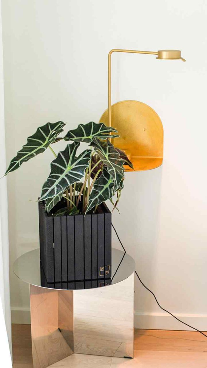 https://www.crownlandscapes.co.uk/wp-content/uploads/2019/08/home_03_inner-720x1280.jpg