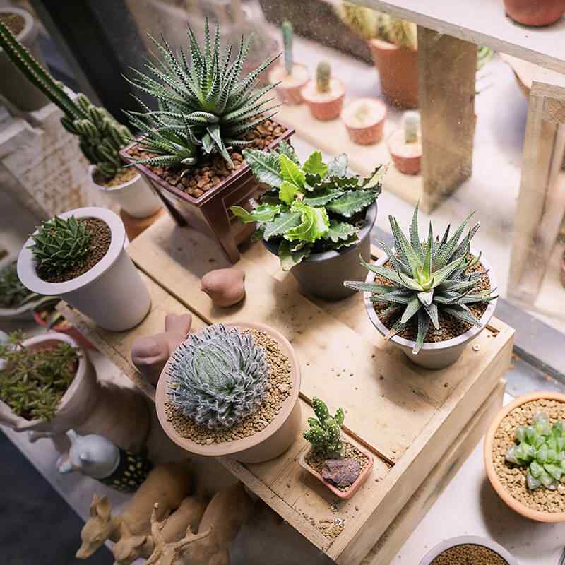https://www.crownlandscapes.co.uk/wp-content/uploads/2019/09/card_28.jpg