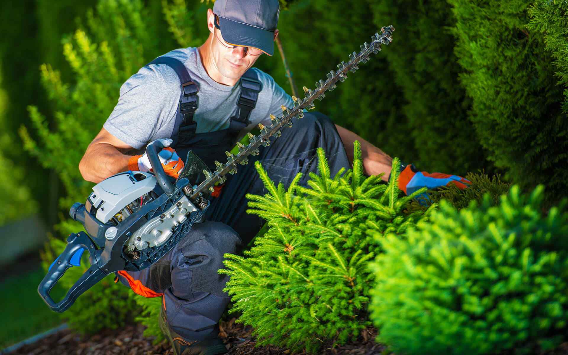 https://www.crownlandscapes.co.uk/wp-content/uploads/2019/10/hero_single_service.jpg