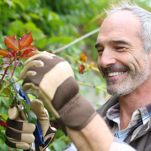 https://www.crownlandscapes.co.uk/wp-content/uploads/2019/10/team_07-640x640.jpg