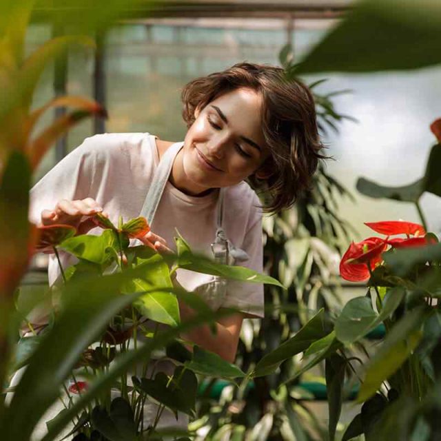 https://www.crownlandscapes.co.uk/wp-content/uploads/2019/10/team_08-640x640.jpg