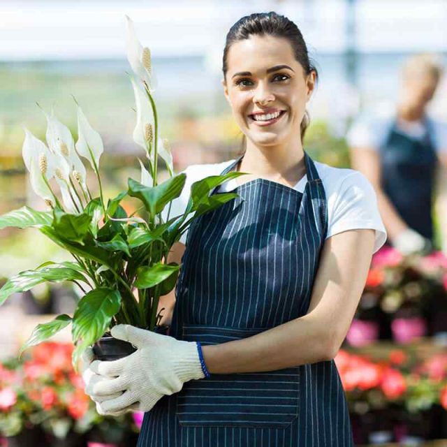 https://www.crownlandscapes.co.uk/wp-content/uploads/2019/10/team_10-640x640.jpg