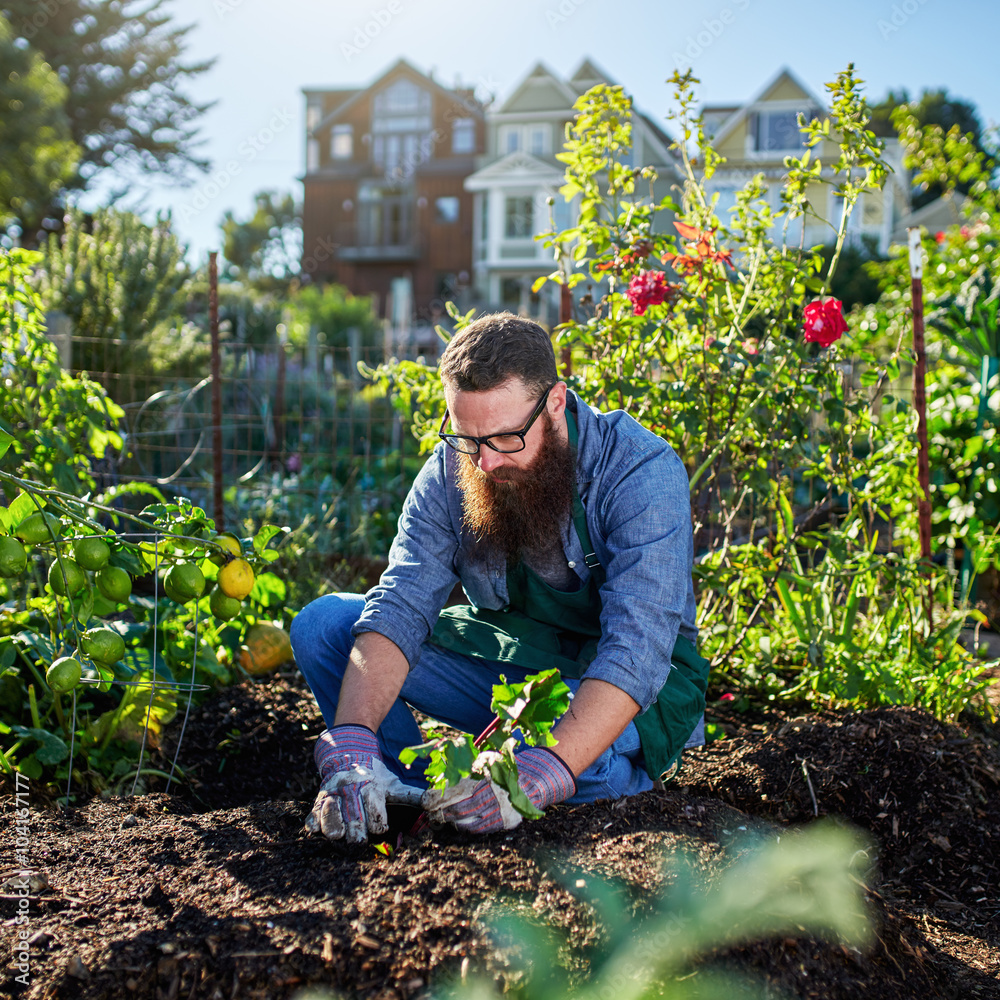 https://www.crownlandscapes.co.uk/wp-content/uploads/2022/02/AdobeStock_104167177_Preview.jpeg